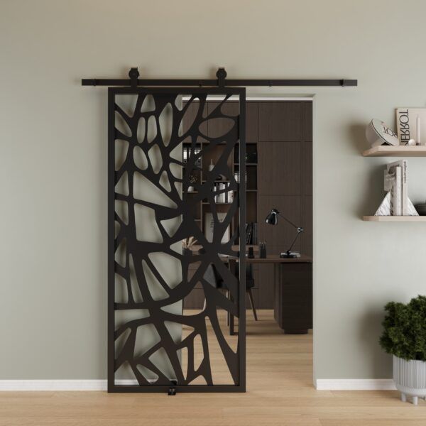 Sliding Barn Door 19