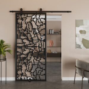 Sliding Barn Door Design Raffles – Steel Framed Sliding Door